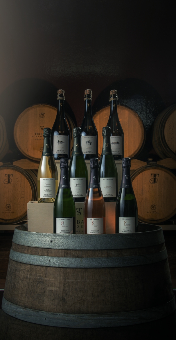 Cuvées Champagne Tribaut-Schloesser